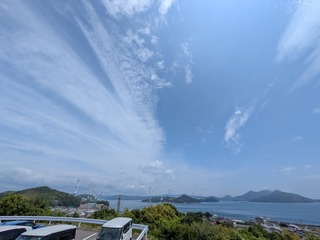 PXL_20250522_015806331.jpg