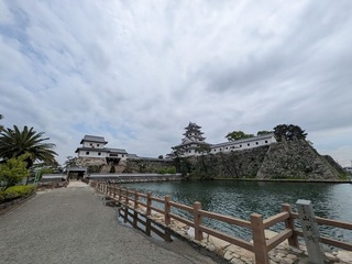 PXL_20250522_022903183.jpg