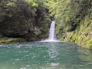 PXL_20250522_051016414.MP.jpg