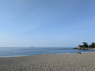 PXL_20250522_221313816.jpg