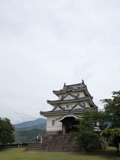 PXL_20250523_040537469.MP.jpg